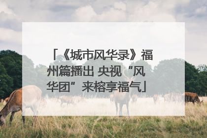 《城市风华录》福州篇播出 央视“风华团”来榕享福气