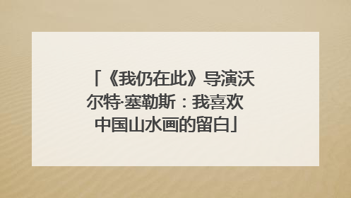 《我仍在此》导演沃尔特·塞勒斯：我喜欢中国山水画的留白