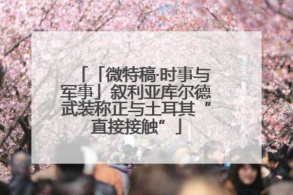 「微特稿·时事与军事」叙利亚库尔德武装称正与土耳其“直接接触”