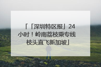 「深圳特区报」24小时！岭南荔枝乘专线 枝头直飞新加坡