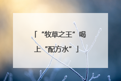 “牧草之王”喝上“配方水”