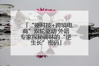 “硬科技+跨境电商”双轮驱动 外籍专家探秘碑林的“逆生长”密码