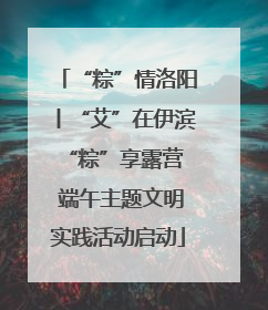 “粽”情洛阳丨“艾”在伊滨 “粽”享露营 端午主题文明实践活动启动
