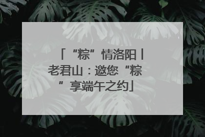 “粽”情洛阳丨老君山：邀您“粽”享端午之约