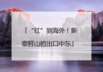 “红”到海外！新泰鲜山楂出口中东