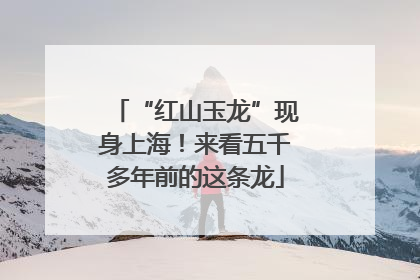 “红山玉龙”现身上海！来看五千多年前的这条龙