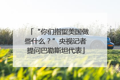 “你们指望美国做些什么？”央视记者提问巴勒斯坦代表