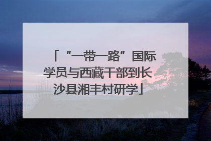 “一带一路”国际学员与西藏干部到长沙县湘丰村研学
