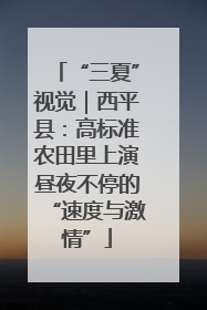 “三夏”视觉｜西平县：高标准农田里上演昼夜不停的“速度与激情”