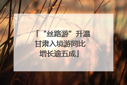 “丝路游”升温 甘肃入境游同比增长逾五成