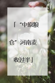 “中原粮仓”河南麦收过半