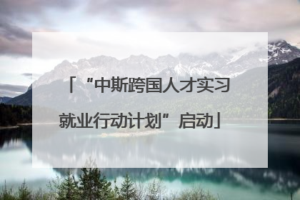 “中斯跨国人才实习就业行动计划”启动