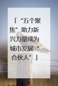 “五个聚焦”助力新兴力量成为城市发展“合伙人”