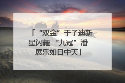 “双金”于子迪新星闪耀 “九冠”潘展乐如日中天