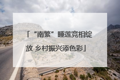“南繁”睡莲竞相绽放 乡村振兴添色彩