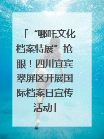 “哪吒文化档案特展”抢眼！四川宜宾翠屏区开展国际档案日宣传活动