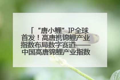 “唐小鲤”IP全球首发！高唐携锦鲤产业指数布局数字赛道——中国高唐锦鲤产业指数暨“唐小鲤”IP全球首发仪式在杭州举行
