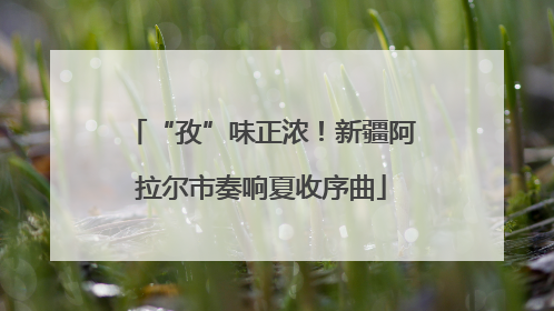 “孜”味正浓！新疆阿拉尔市奏响夏收序曲