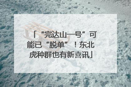 “完达山一号”可能已“脱单”！东北虎种群也有新喜讯