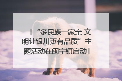 “多民族一家亲 文明让银川更有品质”主题活动在闽宁镇启动