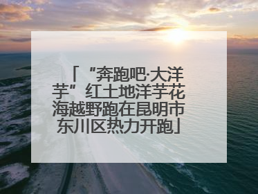 “奔跑吧·大洋芋”红土地洋芋花海越野跑在昆明市东川区热力开跑