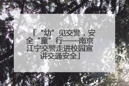 “幼”见交警，安全“童”行——南京江宁交警走进校园宣讲交通安全