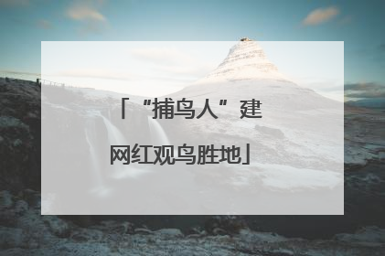 “捕鸟人”建网红观鸟胜地