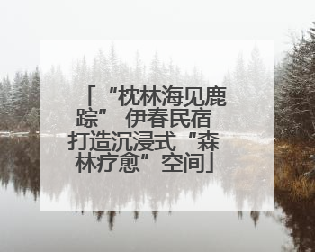 “枕林海见鹿踪” 伊春民宿打造沉浸式“森林疗愈”空间