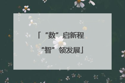 “数”启新程 “智”领发展