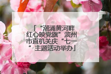 “潮涌黄河畔 红心映党旗”滨州市直机关庆“七一”主题活动举办