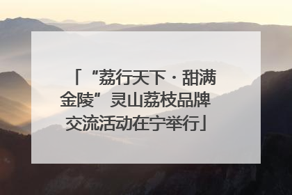 “荔行天下・甜满金陵”灵山荔枝品牌交流活动在宁举行