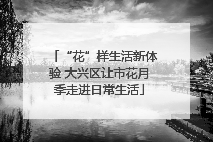 “花”样生活新体验 大兴区让市花月季走进日常生活
