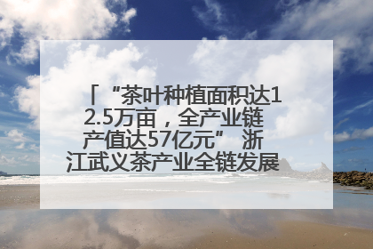 “茶叶种植面积达12.5万亩，全产业链产值达57亿元” 浙江武义茶产业全链发展“加速度”