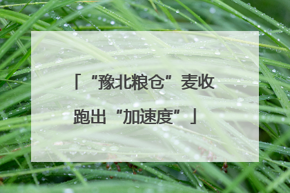 “豫北粮仓”麦收跑出“加速度”