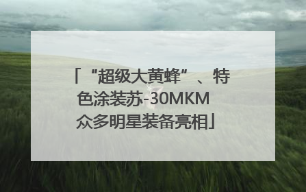 “超级大黄蜂”、特色涂装苏-30MKM 众多明星装备亮相