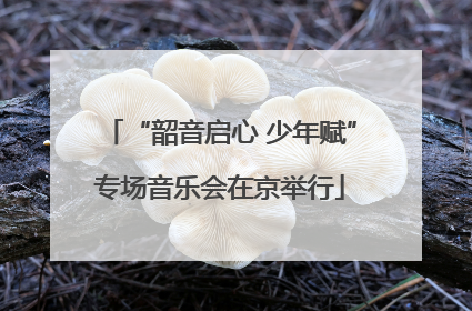 “韶音启心 少年赋”专场音乐会在京举行