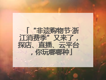 “非遗购物节·浙江消费季”又来了，探店、直播、云平台，你玩哪哪种