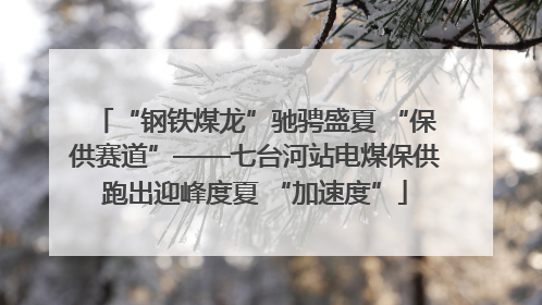 “钢铁煤龙”驰骋盛夏 “保供赛道”——七台河站电煤保供跑出迎峰度夏 “加速度”