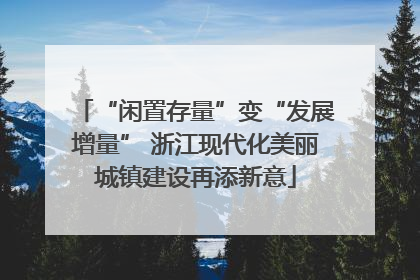 “闲置存量”变“发展增量” 浙江现代化美丽城镇建设再添新意