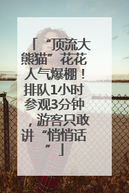 “顶流大熊猫”花花人气爆棚！排队1小时参观3分钟，游客只敢讲“悄悄话”