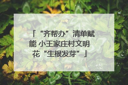 “齐帮办”清单赋能 小王家庄村文明花“生根发芽”