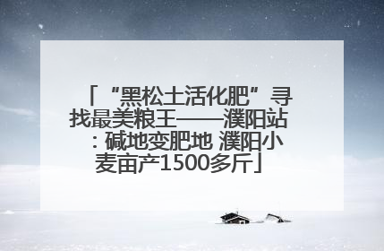 “黑松土活化肥”寻找最美粮王——濮阳站：碱地变肥地 濮阳小麦亩产1500多斤