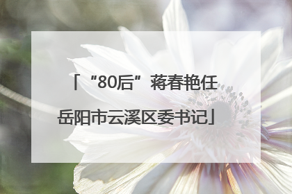 “80后”蒋春艳任岳阳市云溪区委书记