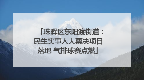 珠晖区东阳渡街道：民生实事人大票决项目落地 气排球赛点燃