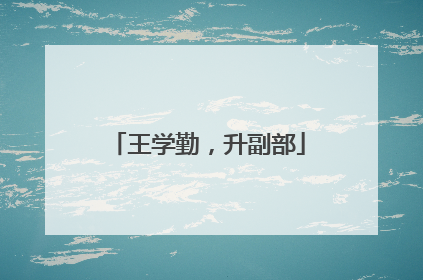王学勤，升副部
