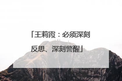 王莉霞：必须深刻反思、深刻警醒