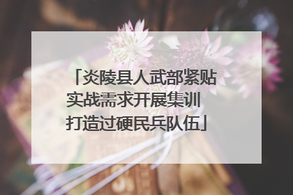 炎陵县人武部紧贴实战需求开展集训 打造过硬民兵队伍