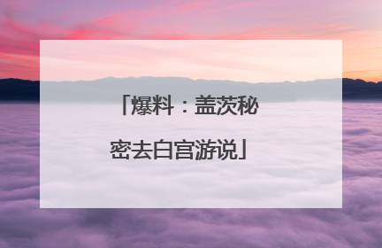 爆料：盖茨秘密去白宫游说