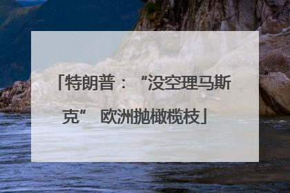 特朗普：“没空理马斯克” 欧洲抛橄榄枝