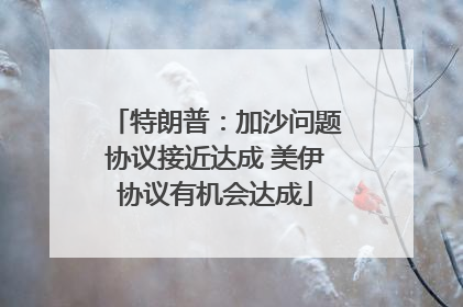 特朗普：加沙问题协议接近达成 美伊协议有机会达成